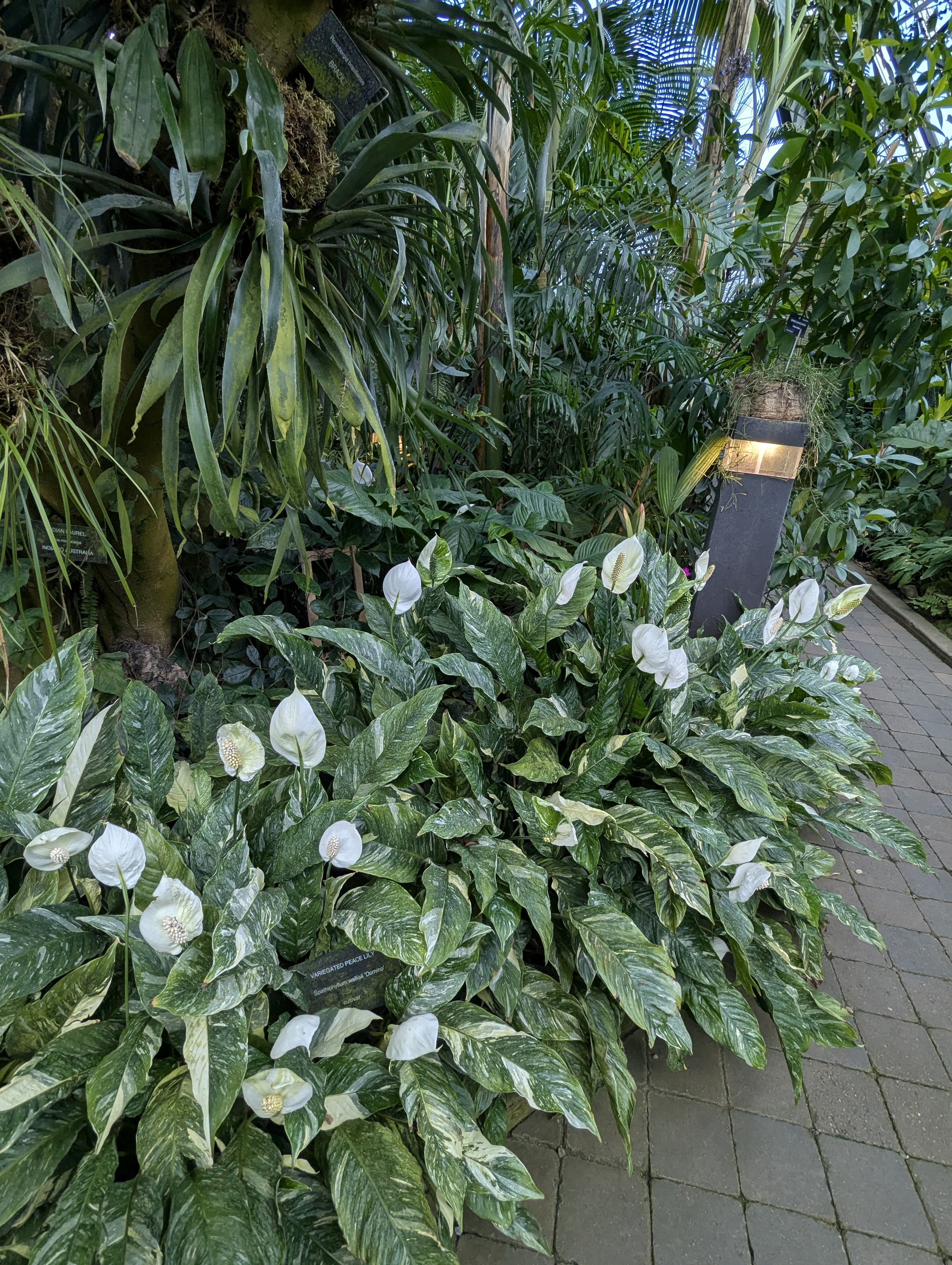 Birthday Trip to Canada, Edmonton, Pyramids, Muttart Observatory